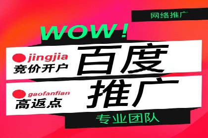 SEM公司案例研究：数据驱动营销策略